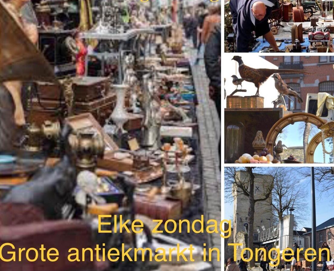 Vakantiehuisje Vds Tongeren Esterno foto