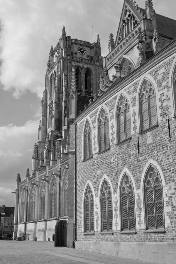 Vakantiehuisje Vds Tongeren Esterno foto